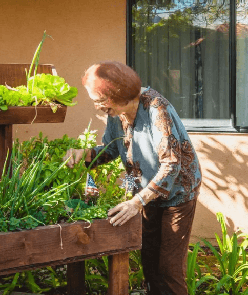 A senior woman tending plants at a raised garden bed outside her community