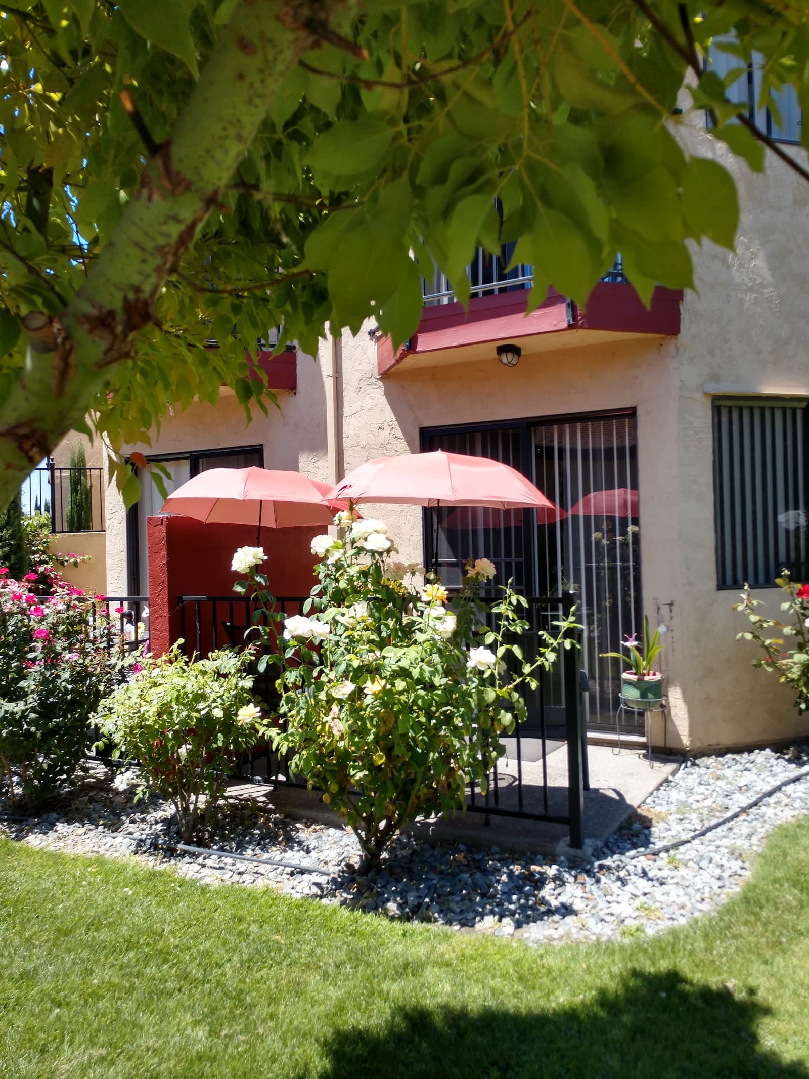 Courtyard At Venetian Terrace photo 2