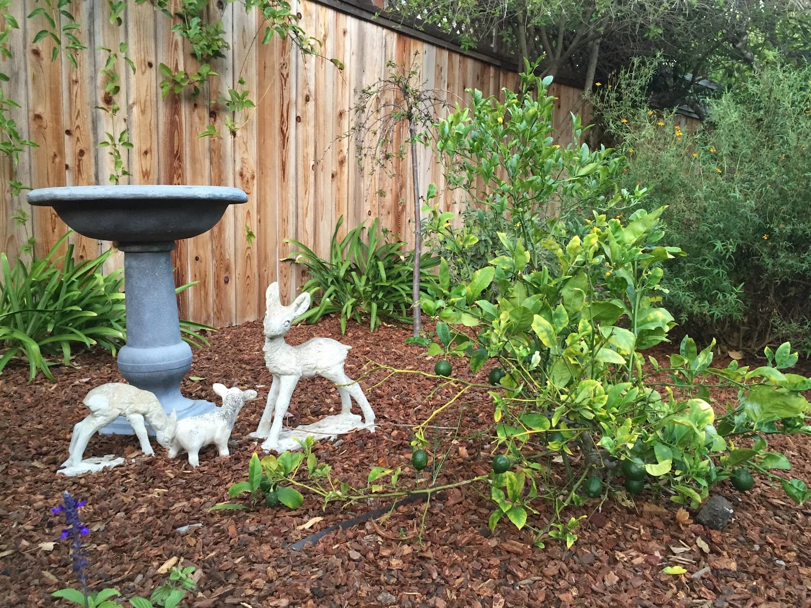 Your Home photo 3