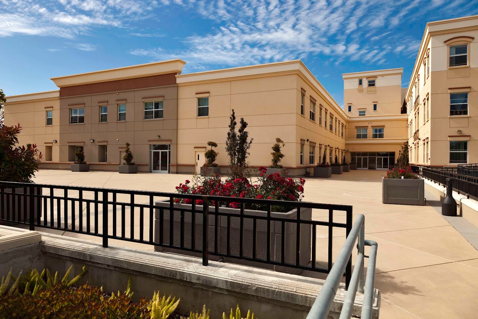 Sycamore Senior Village