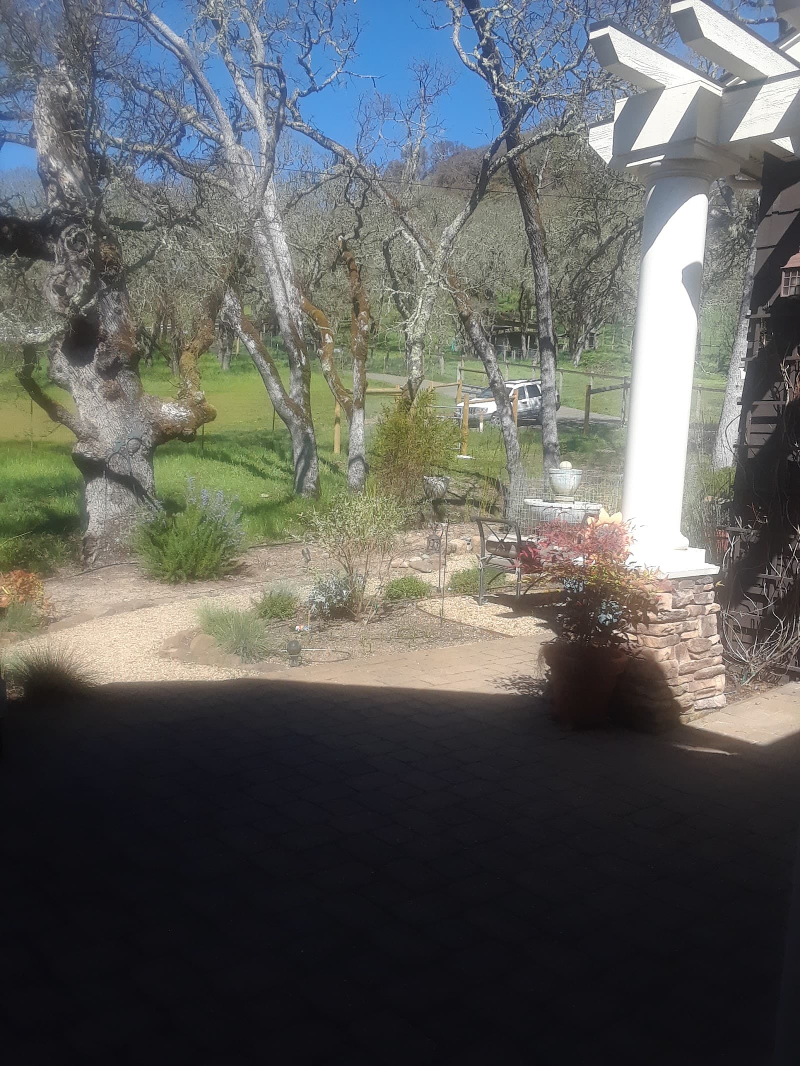 Gracious Living at Porter Creek photo 4