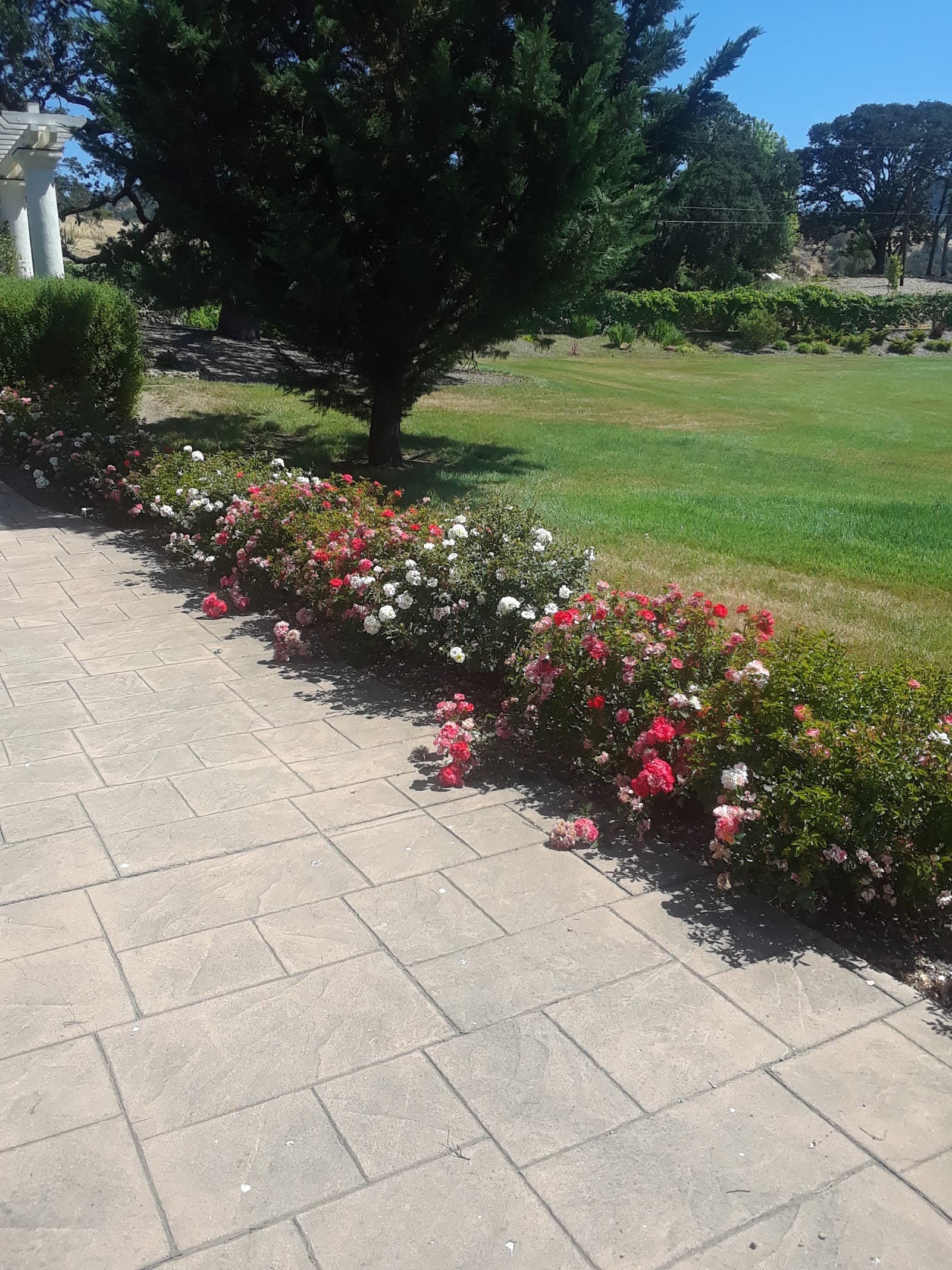Gracious Living at Porter Creek