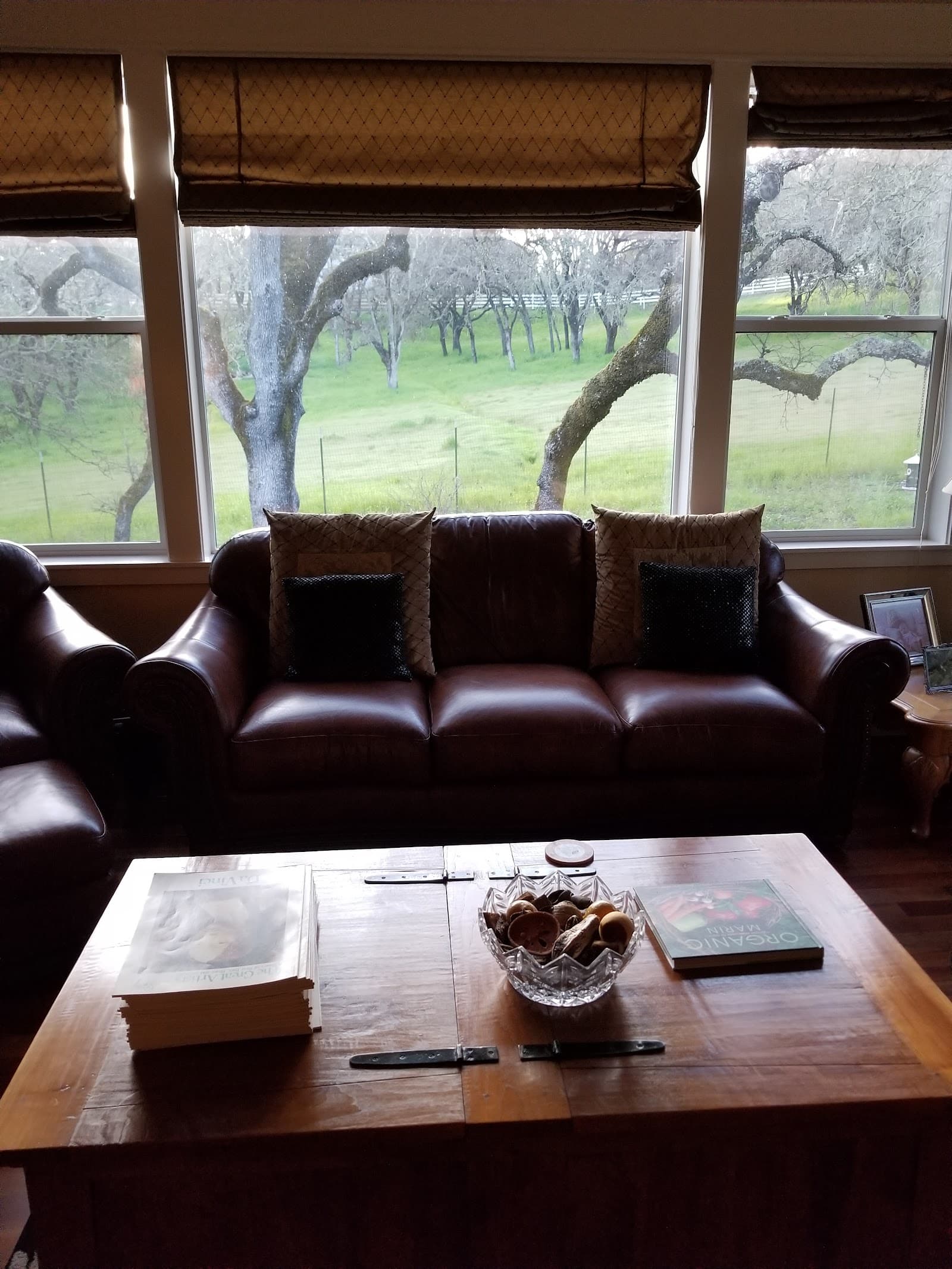 Gracious Living at Porter Creek photo 3