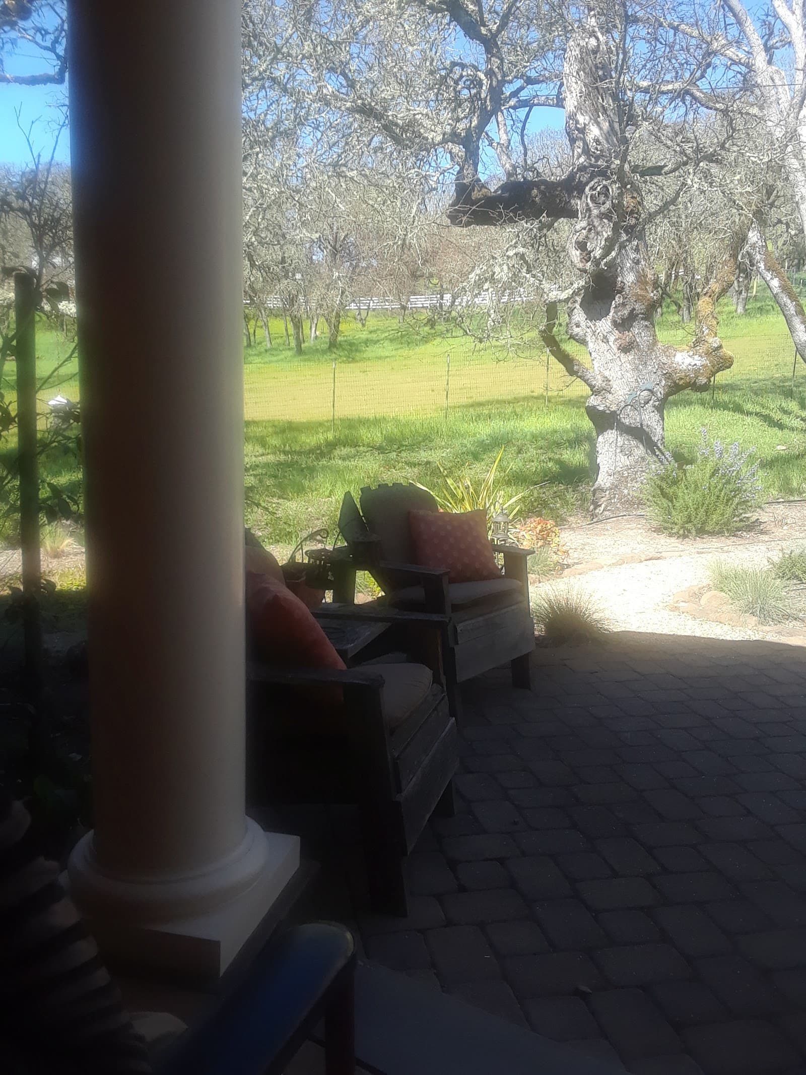 Gracious Living at Porter Creek photo 2