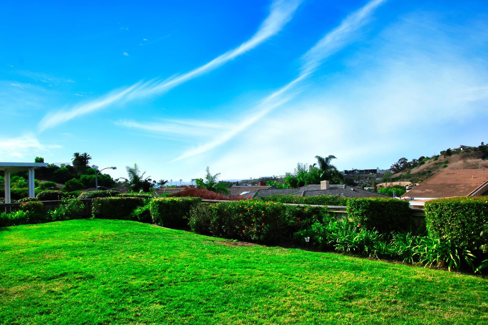 Rosehaven III photo 3