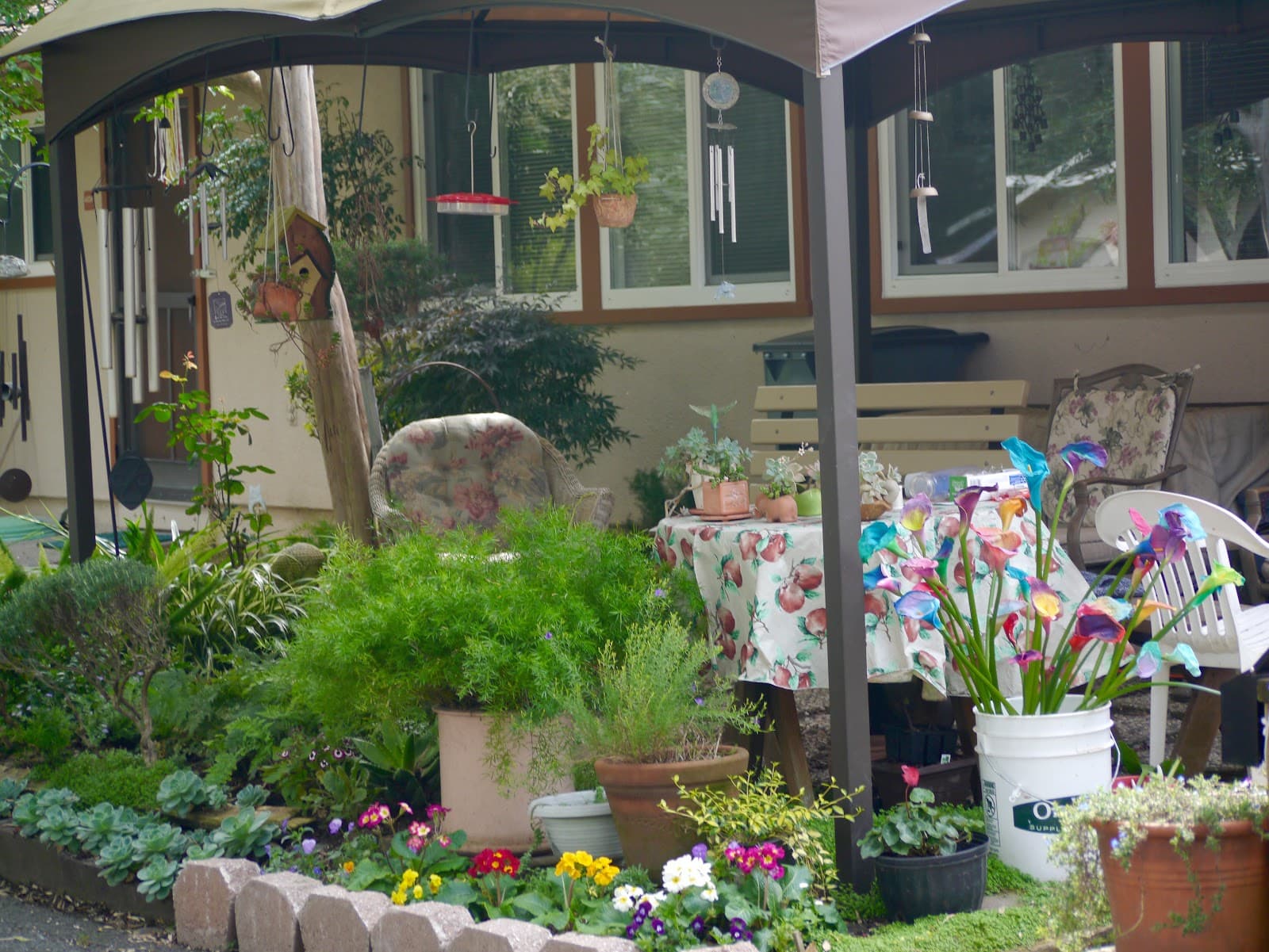Rohlffs Manor photo 5
