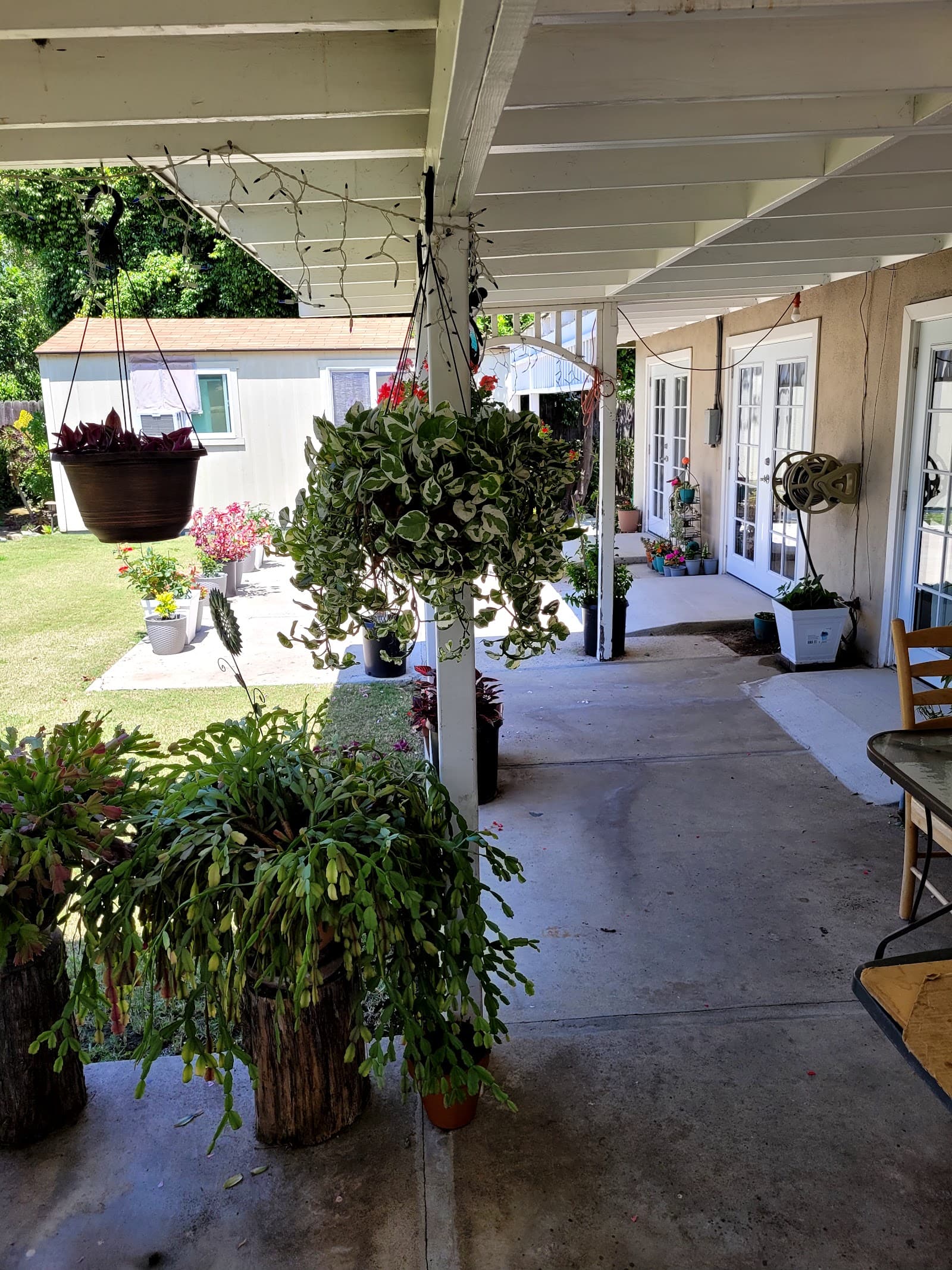 Comfort Cottages 1 photo 2