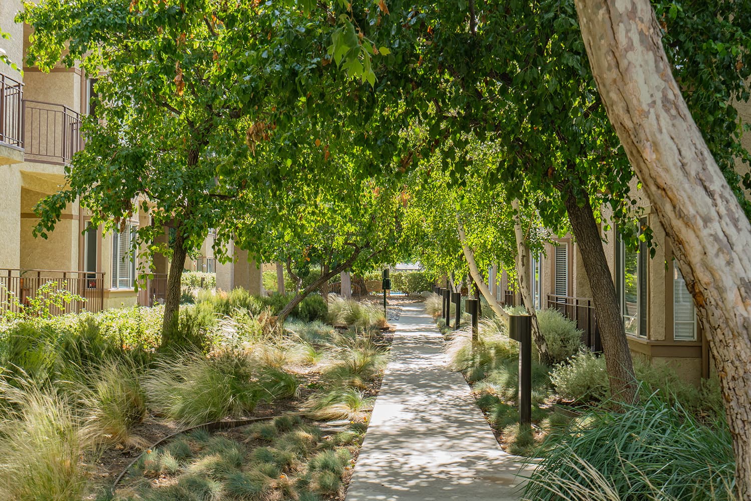 Valley Oaks Village photo 5