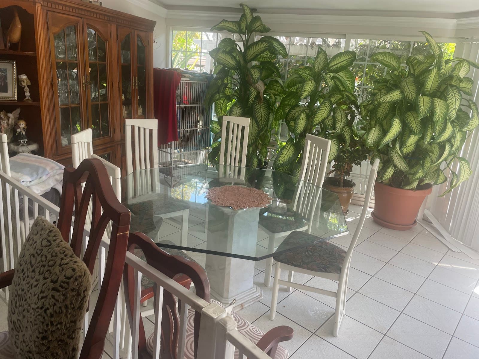 Angie's Home Care photo 4
