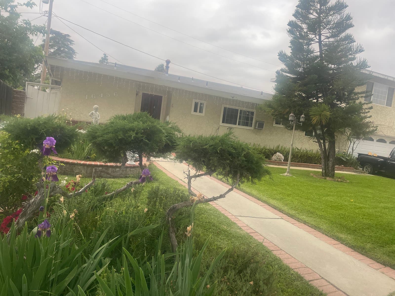Angie's Home Care photo 2