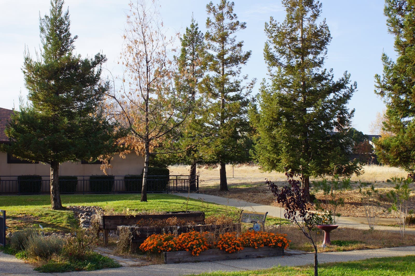 Oakwood Village photo 5