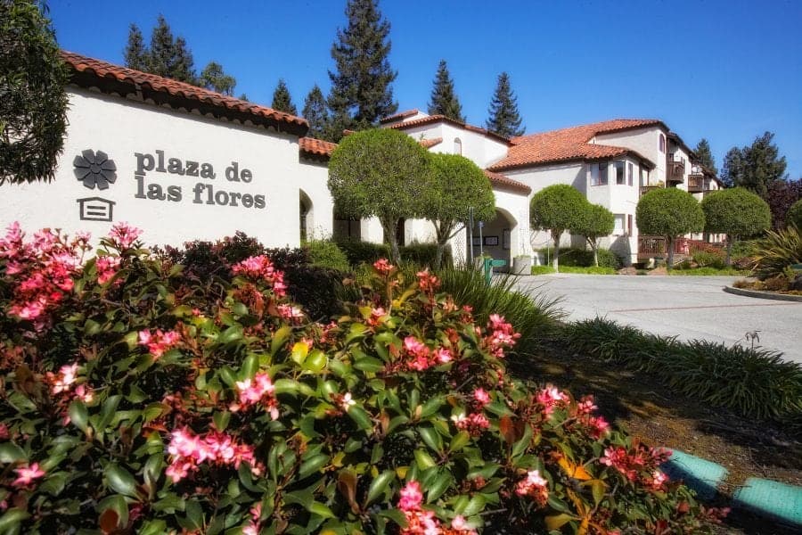 Plaza De Las Flores