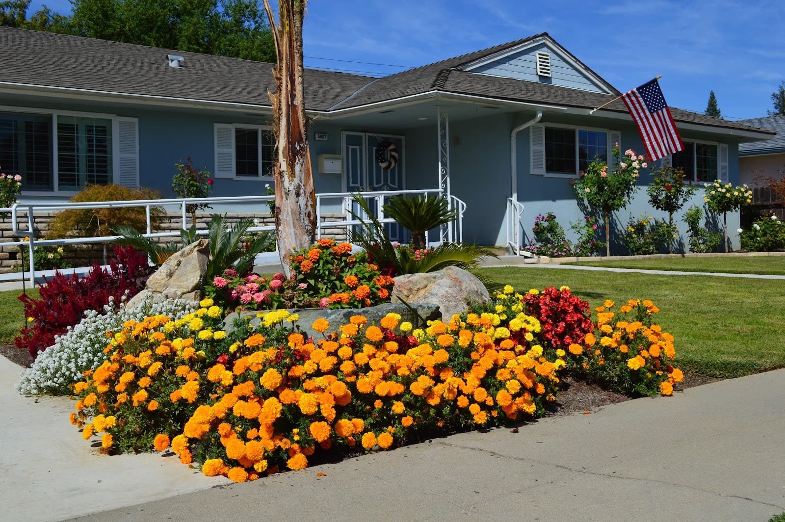 Rose Meadow Manor photo 5