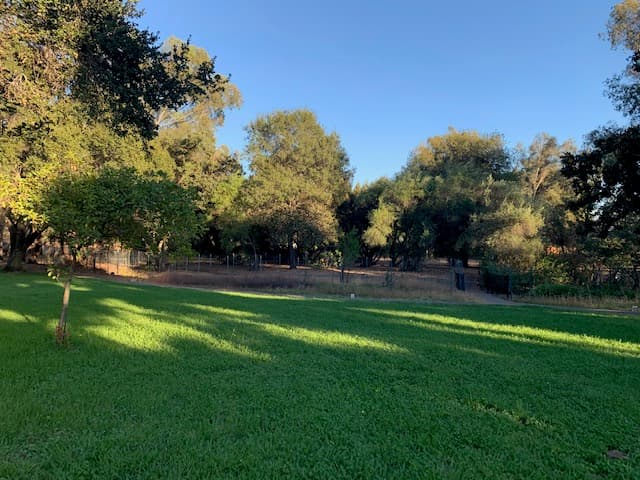 Sonoma Grove photo 4