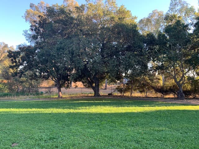 Sonoma Grove photo 2