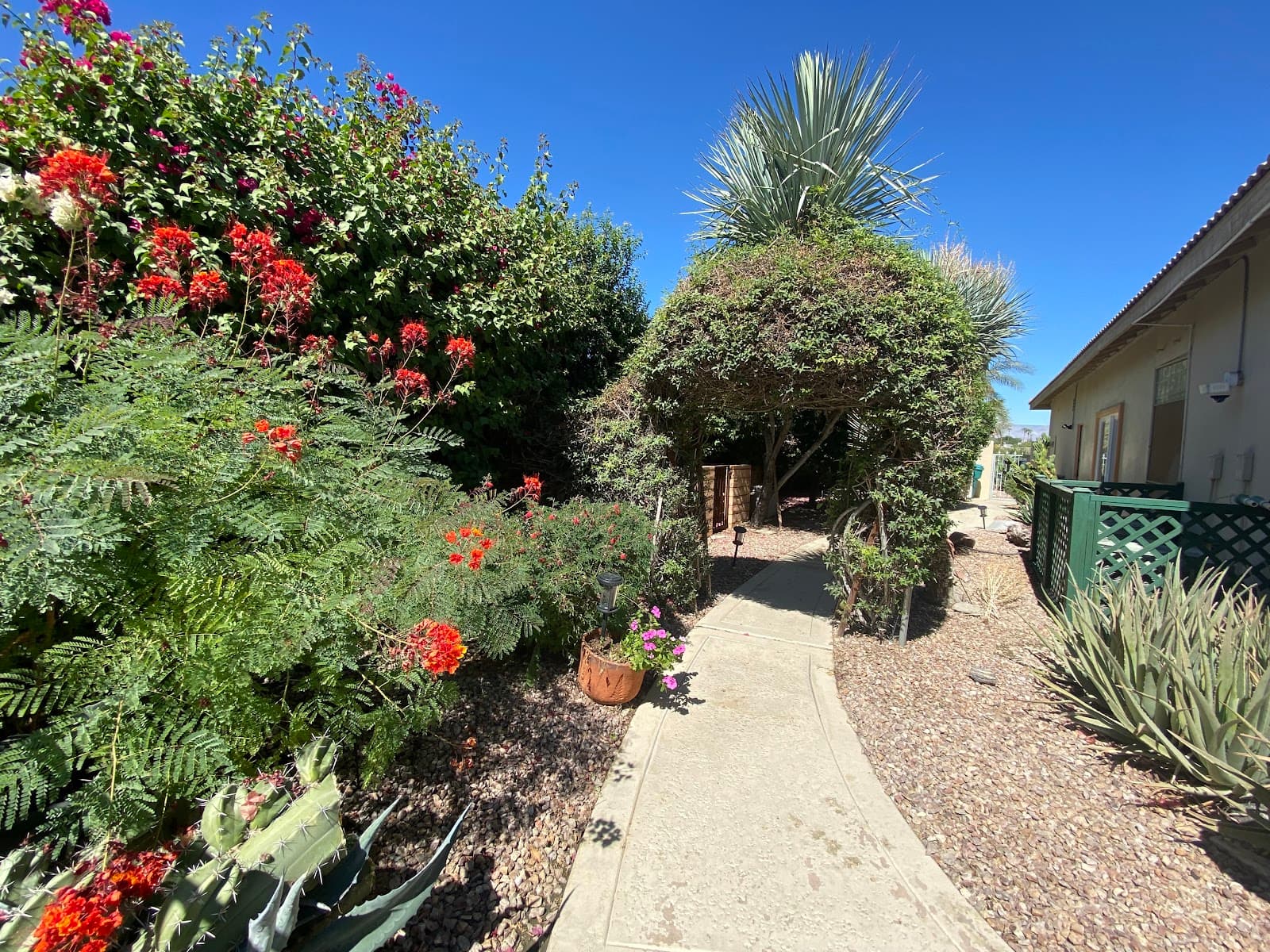 Emerald Rose Garden 2 photo 3
