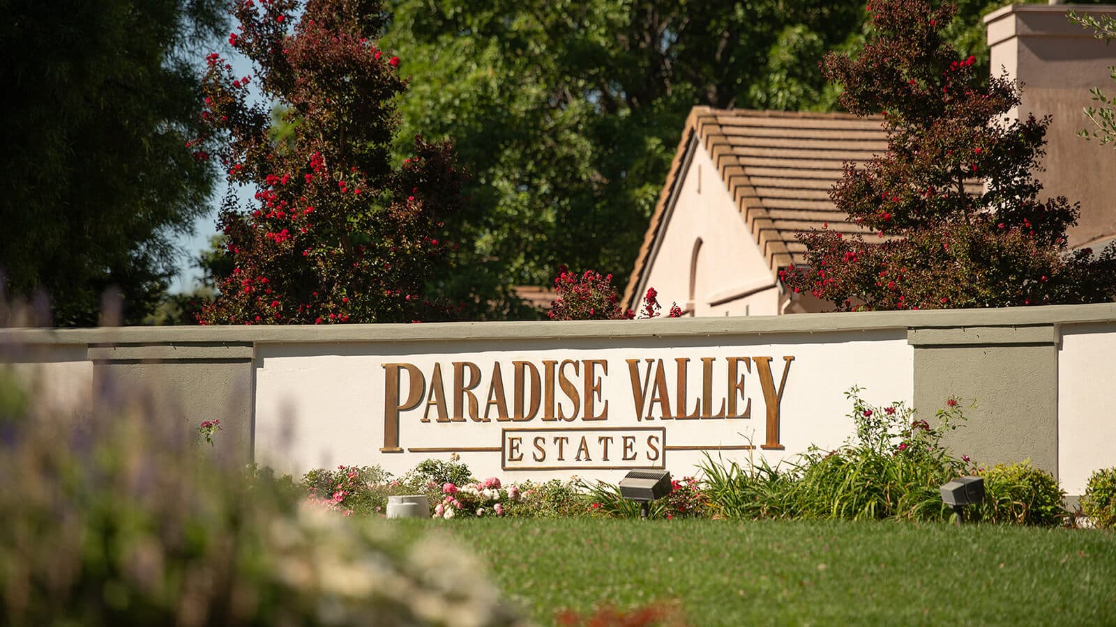 Paradise Valley Estates photo 4
