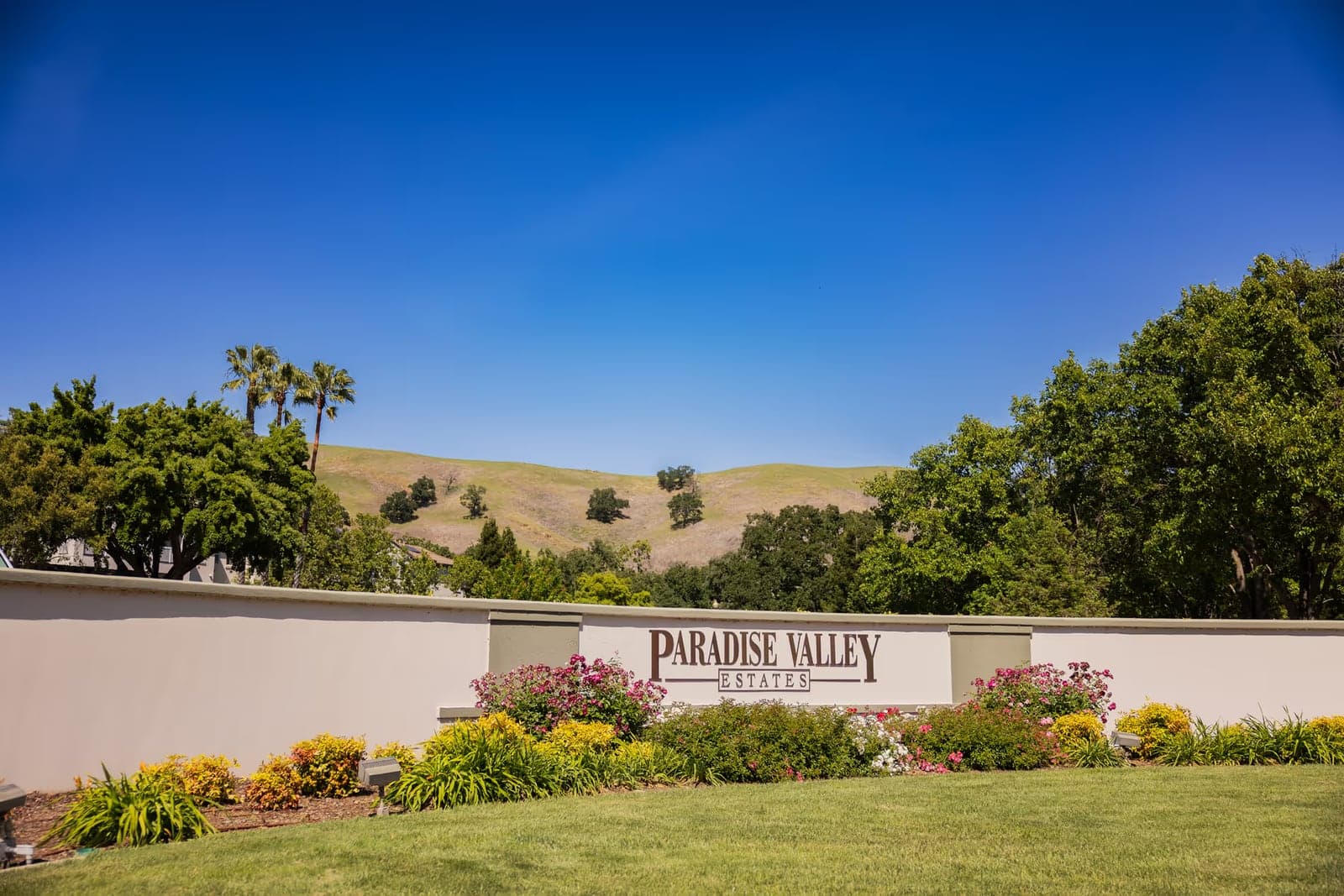 Paradise Valley Estates photo 2