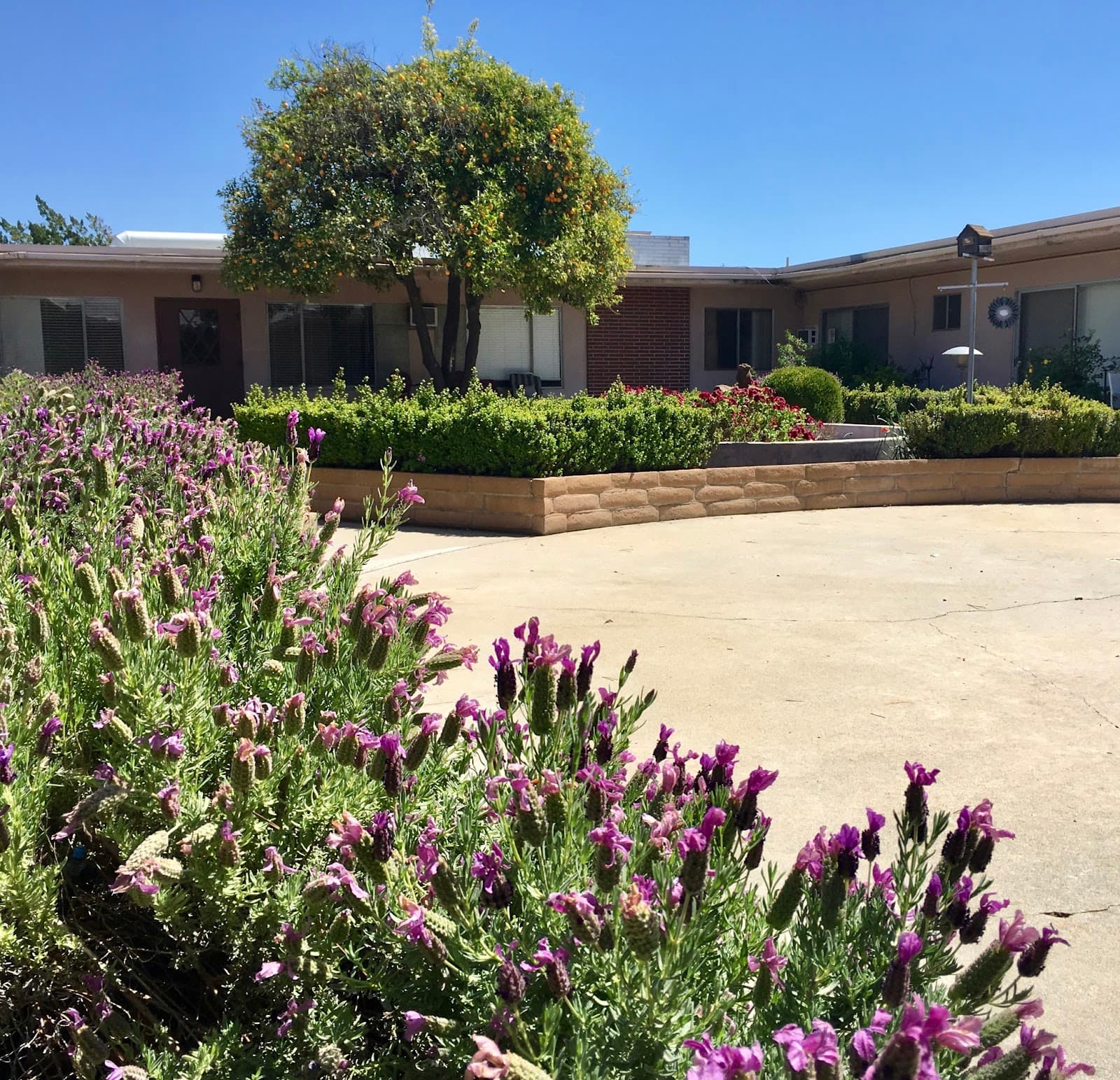 Belmar Villa