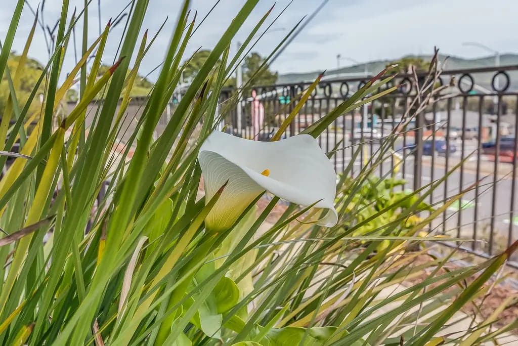Serra Highlands Senior Living photo 2