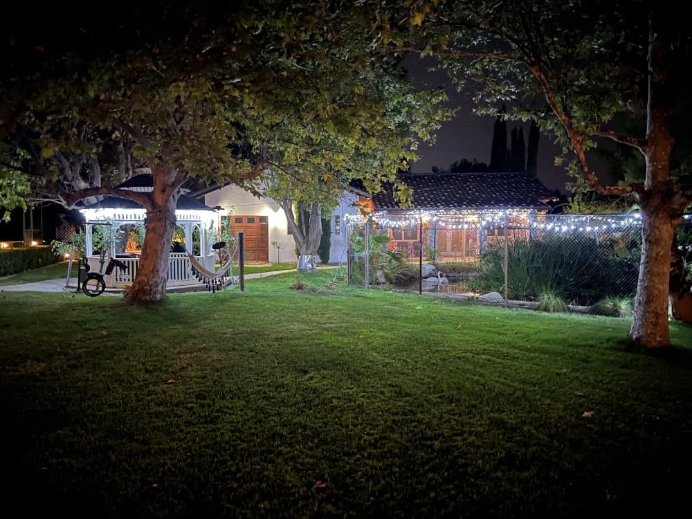Viewmont Acres photo 3
