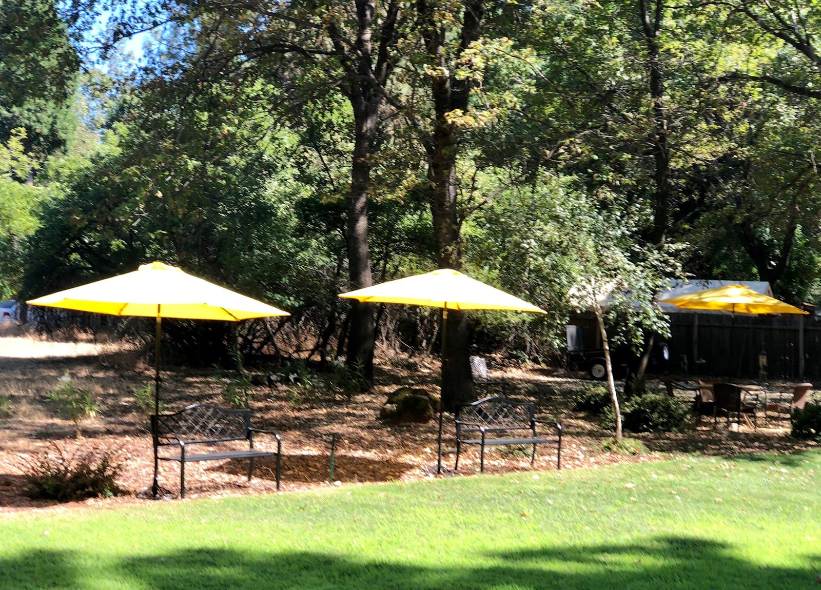 Mountain Meadow Lodge photo 3
