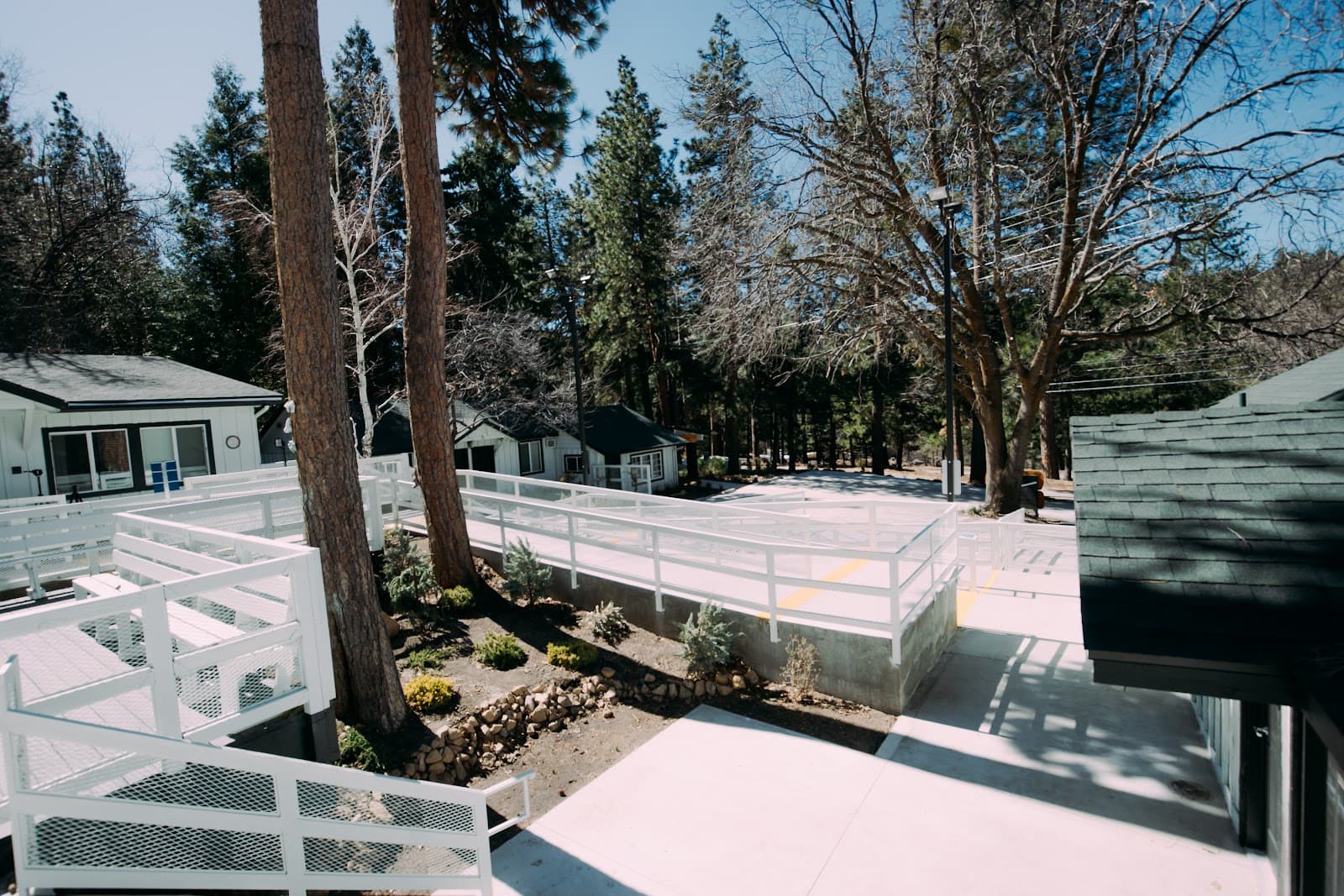 Pacific Pines photo 4