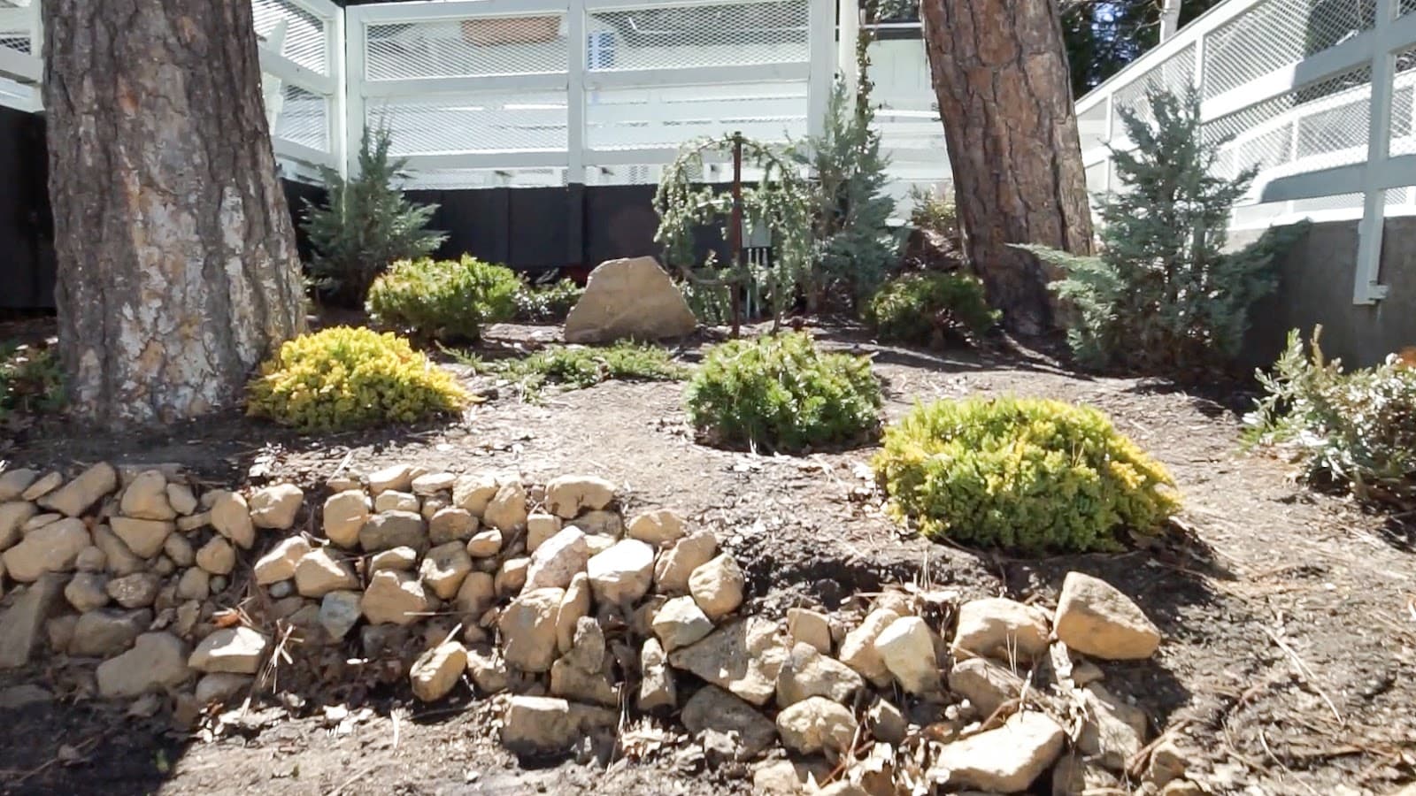 Pacific Pines photo 5