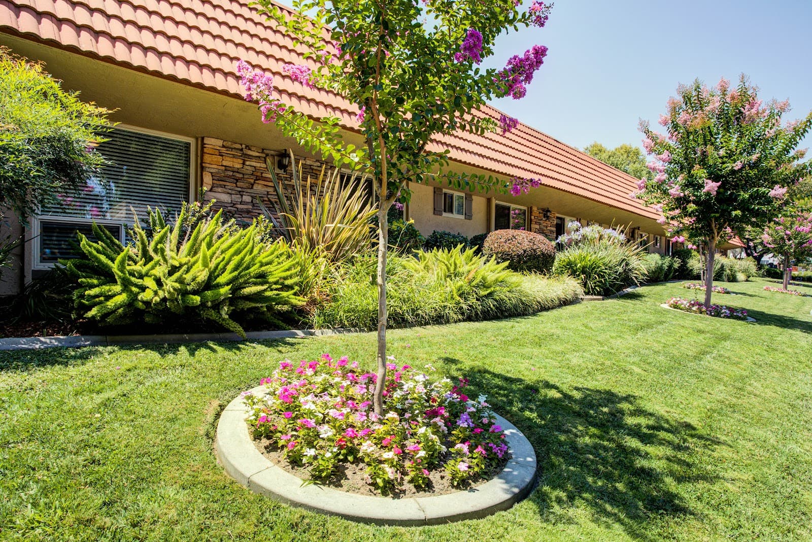 The WaterLeaf at Land Park photo 4