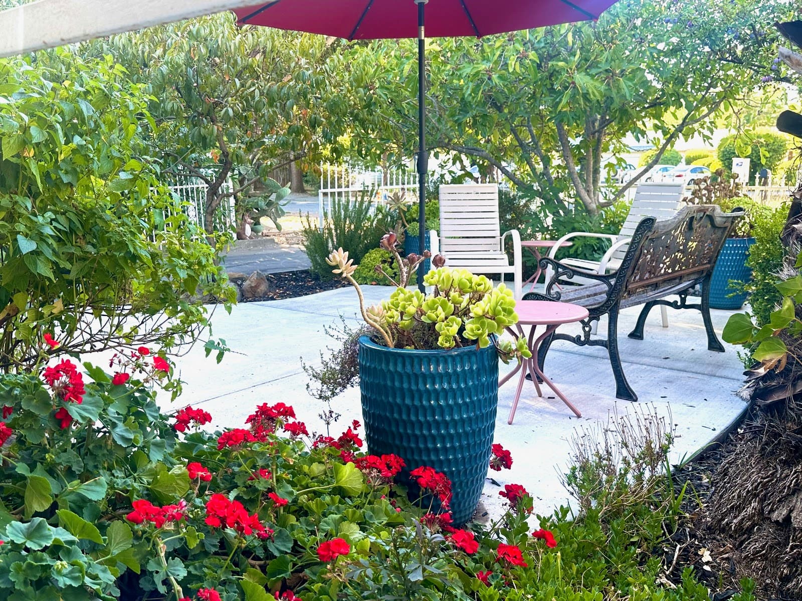 Sonoma Oak Tree Home photo 4