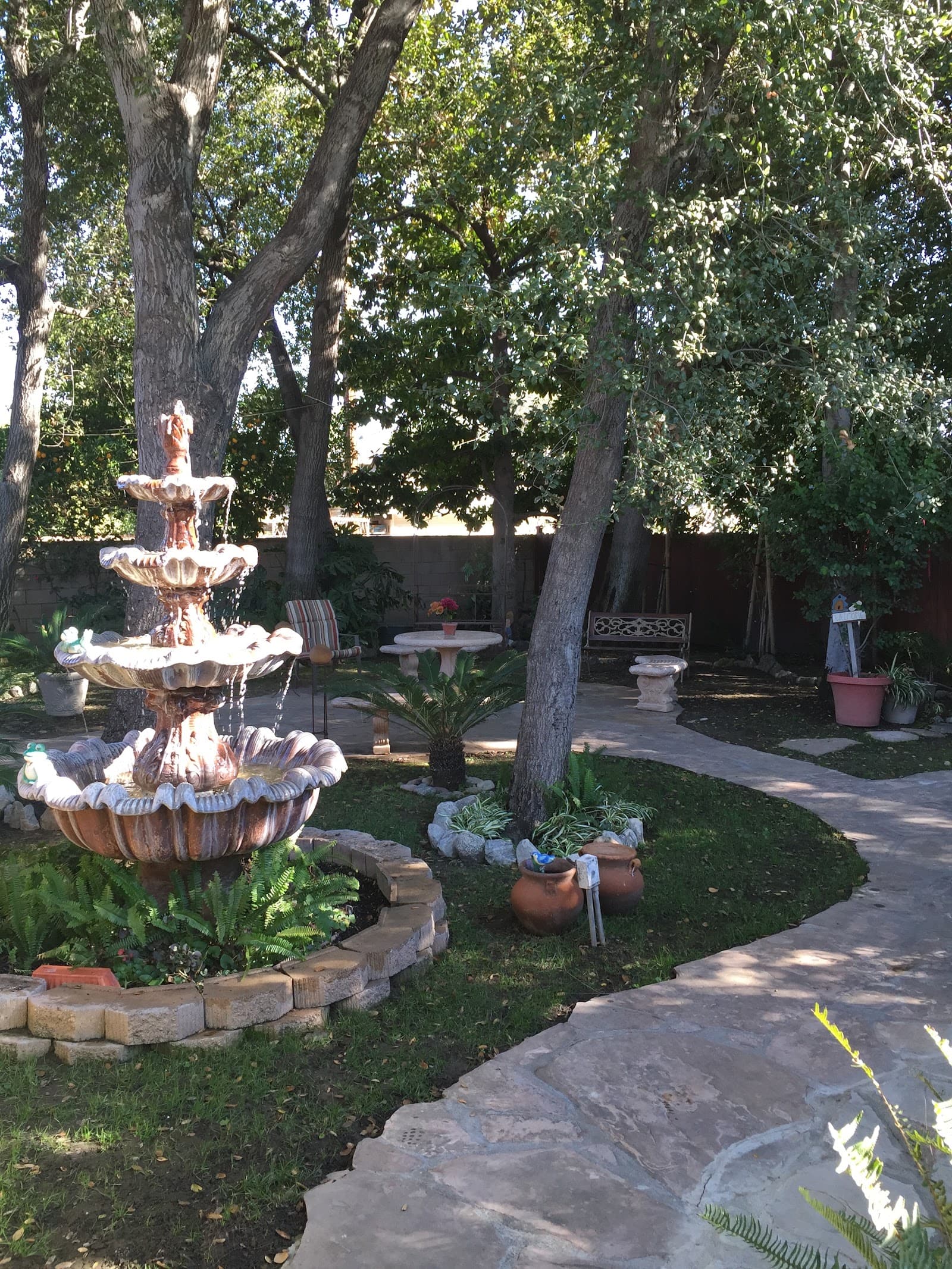 Oak Garden photo 5