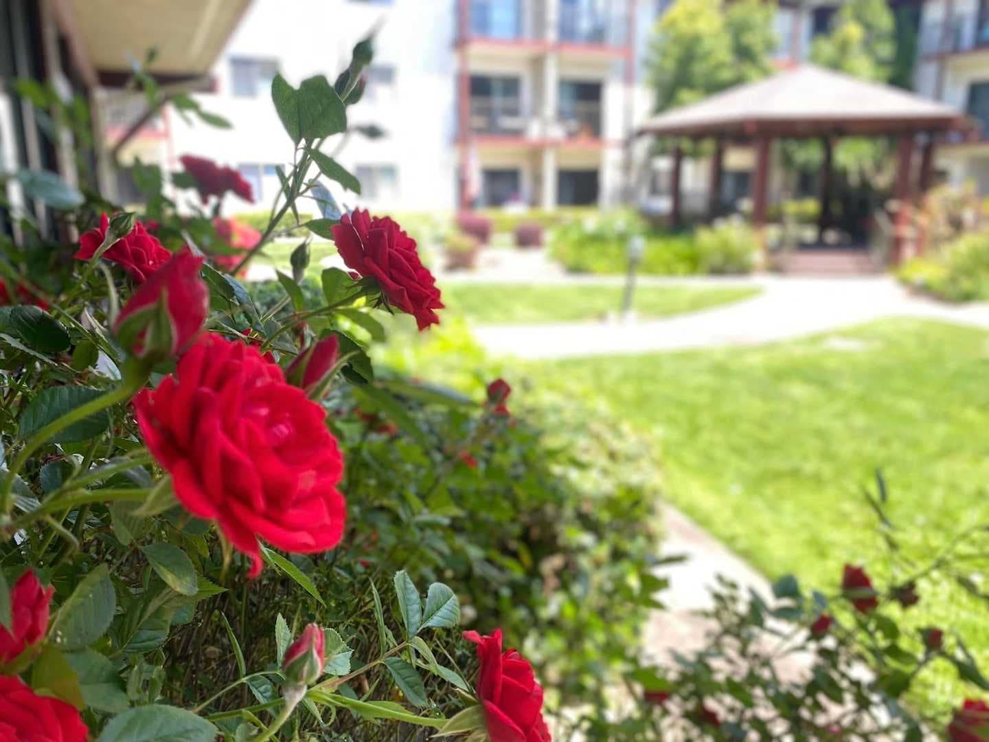 Roseville Commons Senior Living photo 4