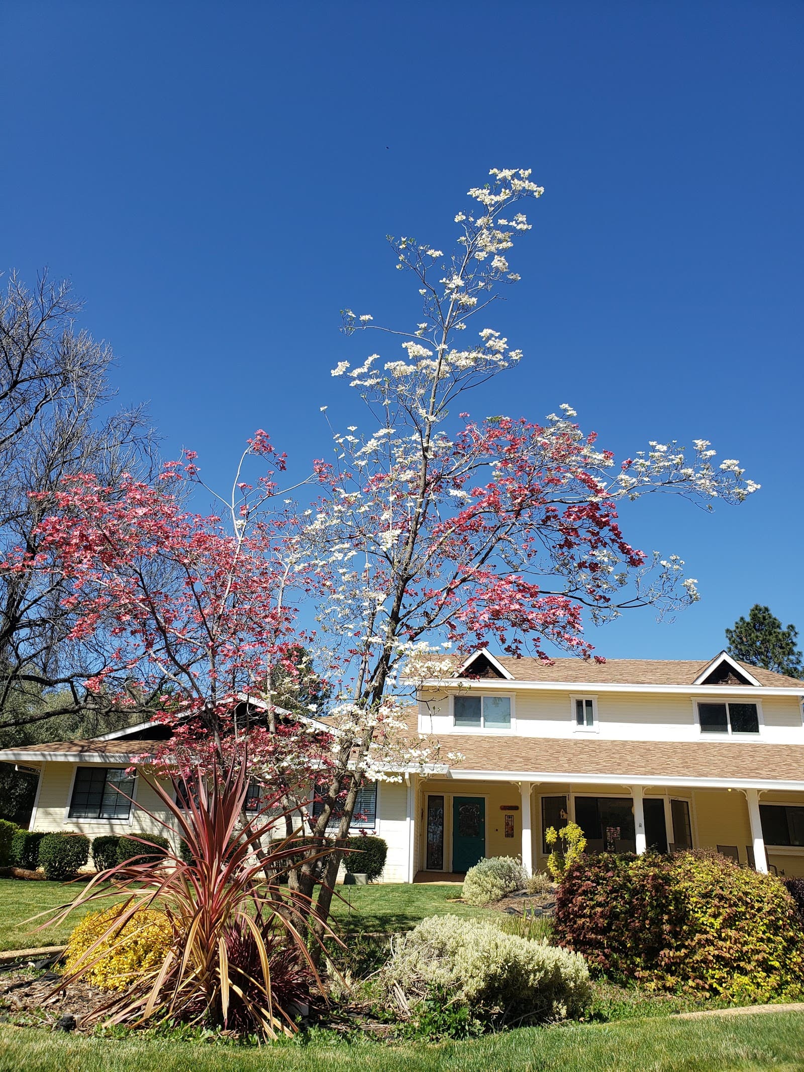Sunshine Assisted Living- the House photo 5
