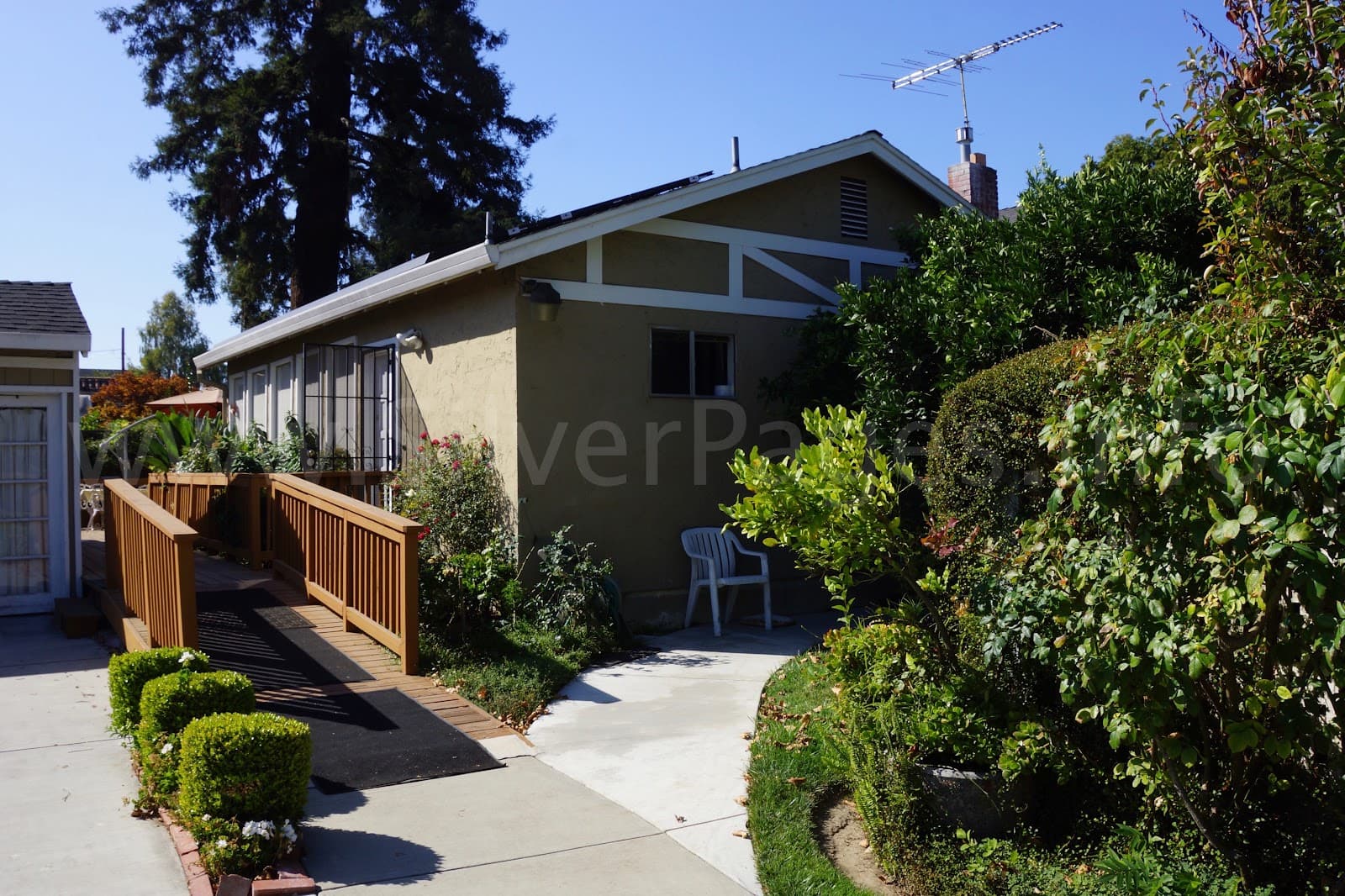 Lincoln & Pine, Willow Glen photo 2
