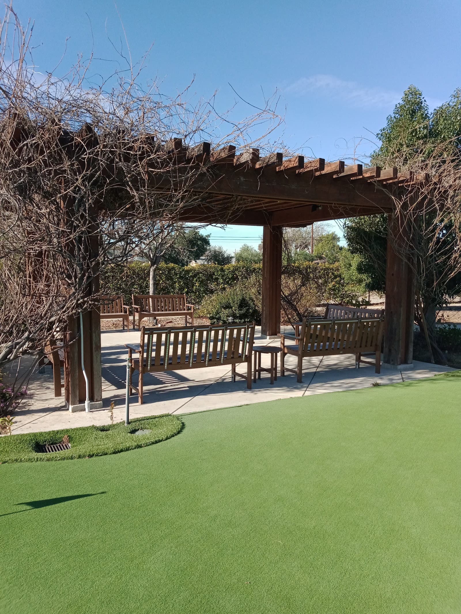 Nikkei Senior Gardens photo 4