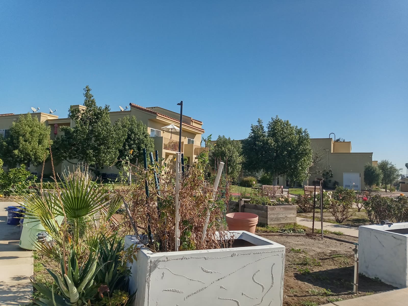 Nikkei Senior Gardens photo 2