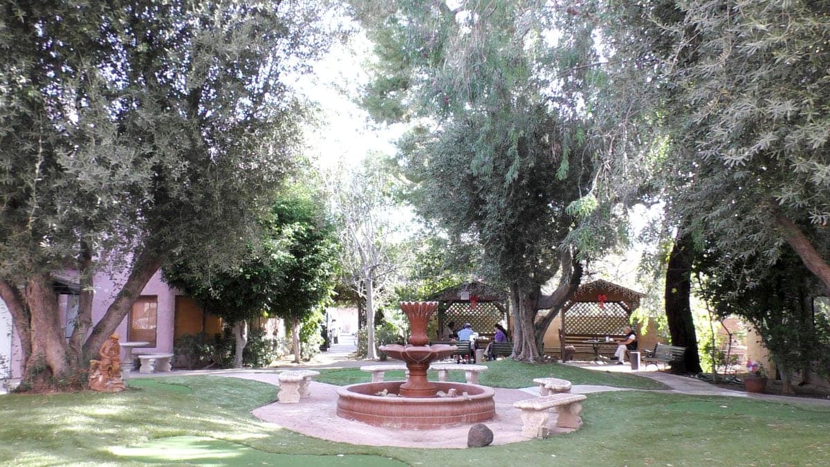 Ambassador Garden photo 2