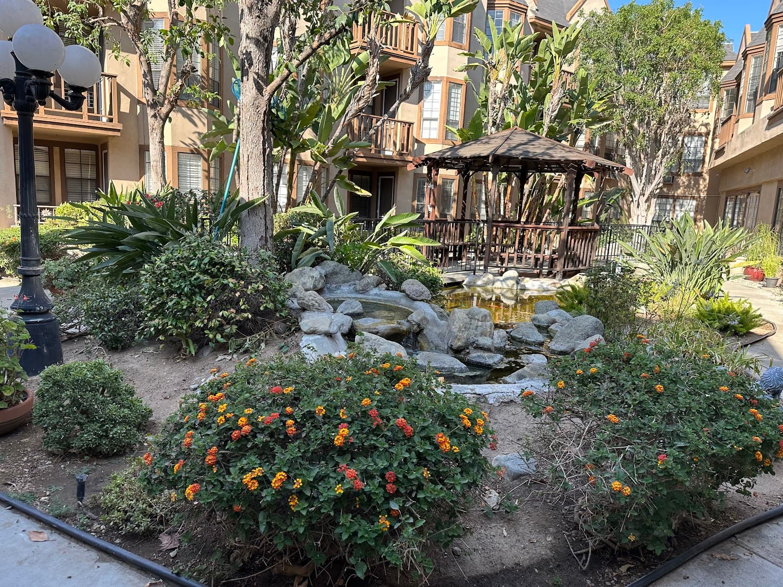 Arcadia Living
