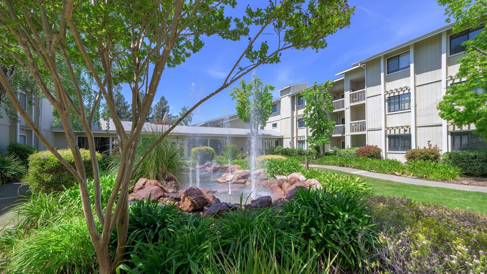 Holiday Springs Of Napa photo 4