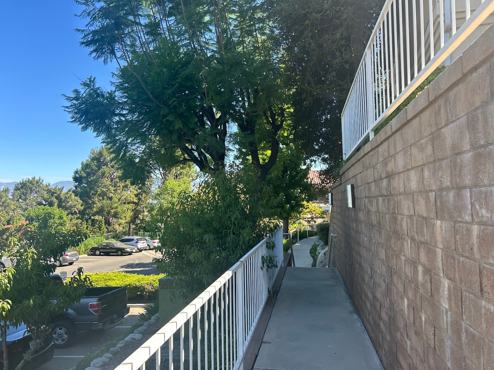 Loma Linda Springs photo 4