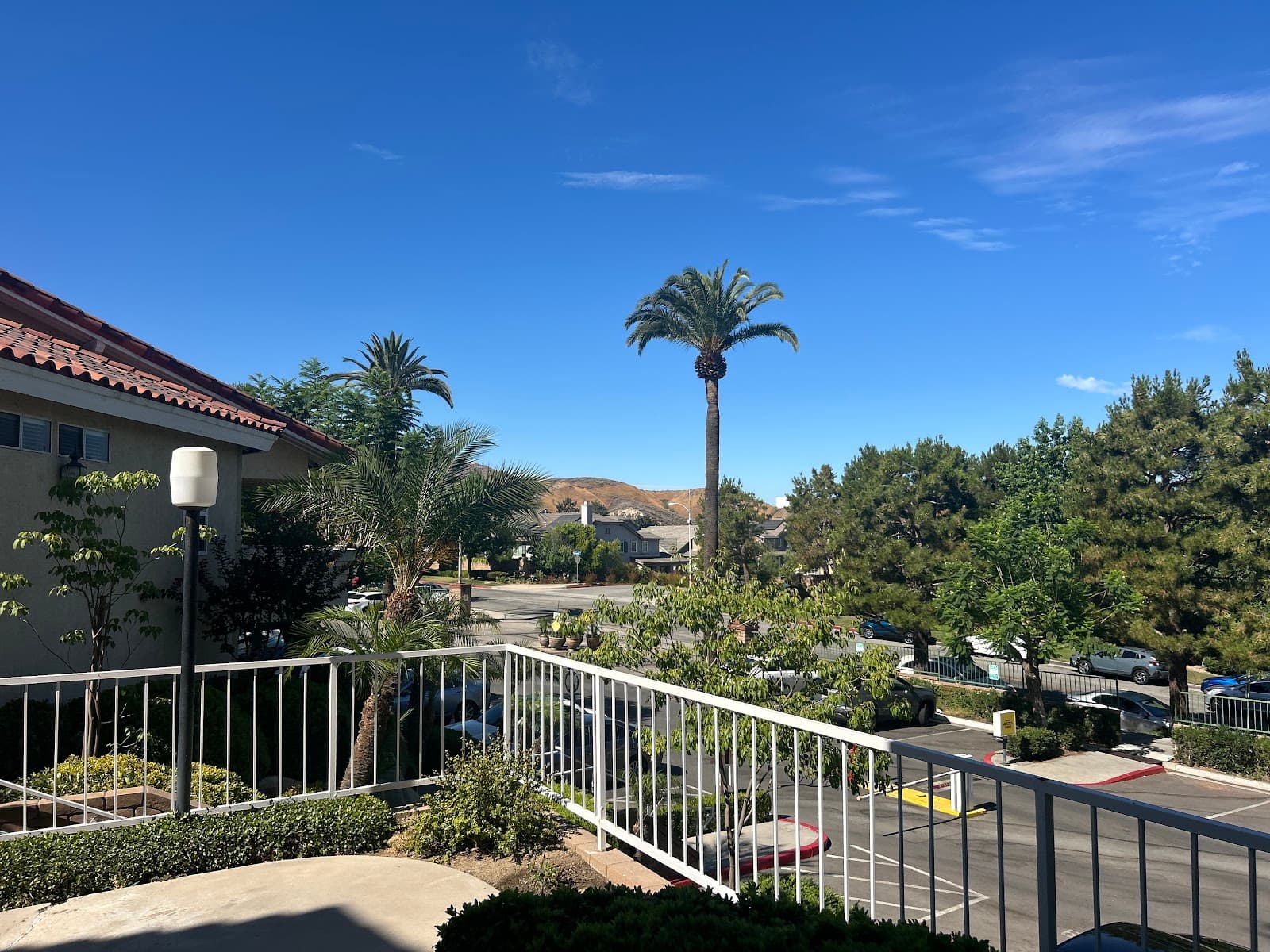 Loma Linda Springs photo 2