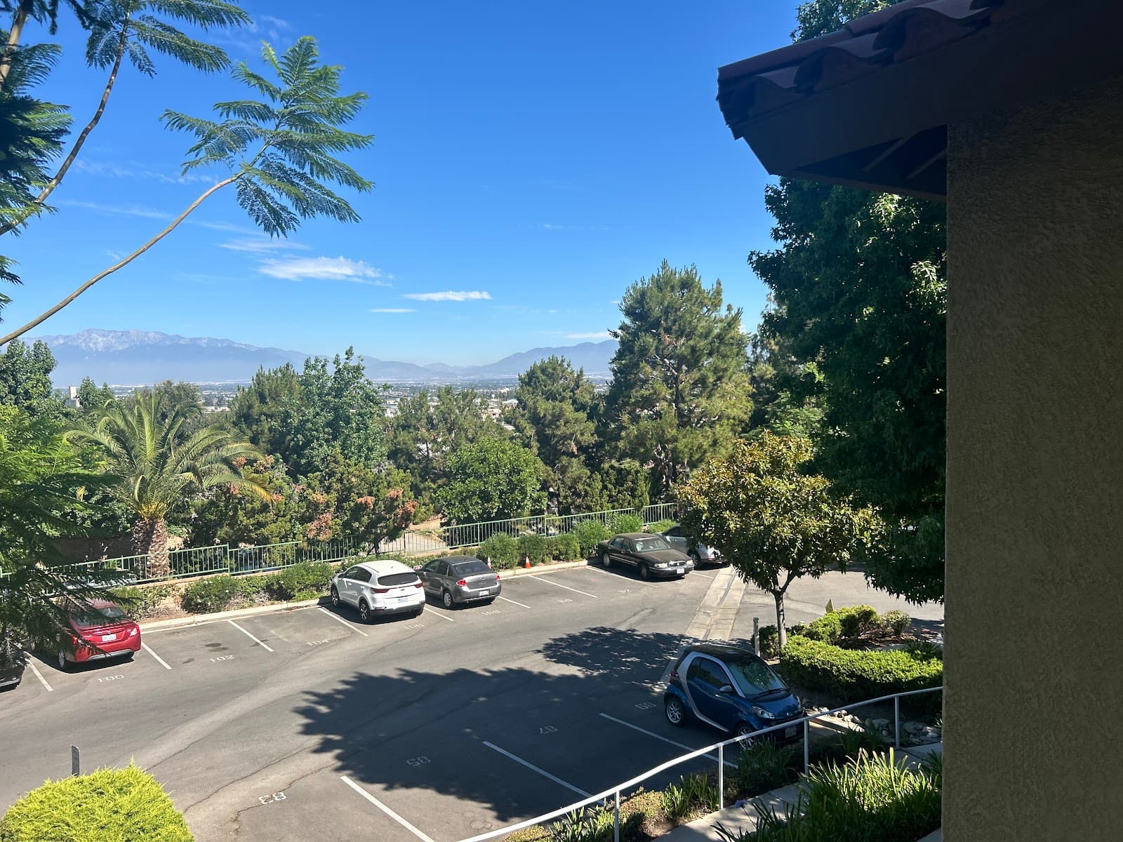 Loma Linda Springs photo 5