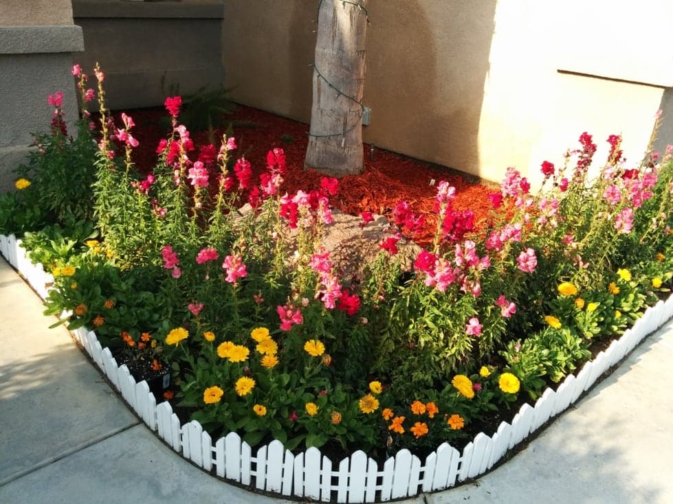 A & A Bakersfield Care Home photo 1