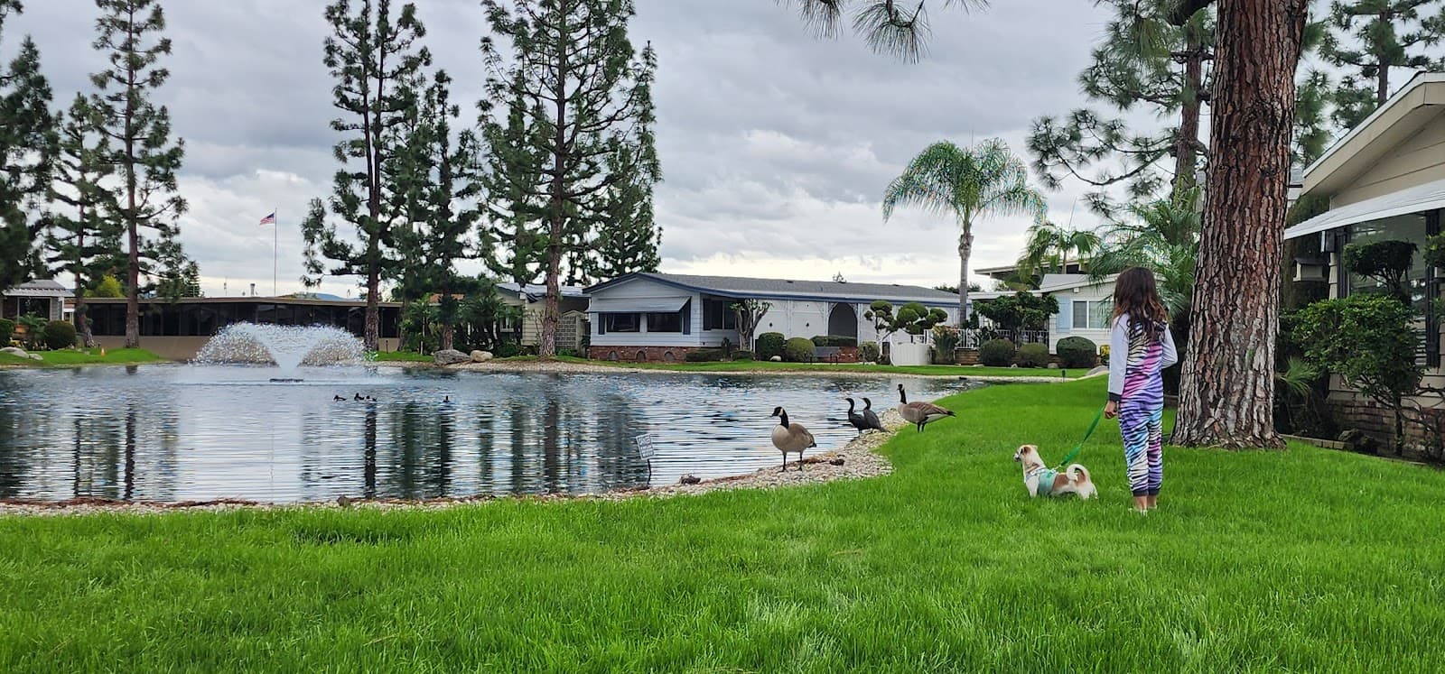 Lake Park La Habra photo 1