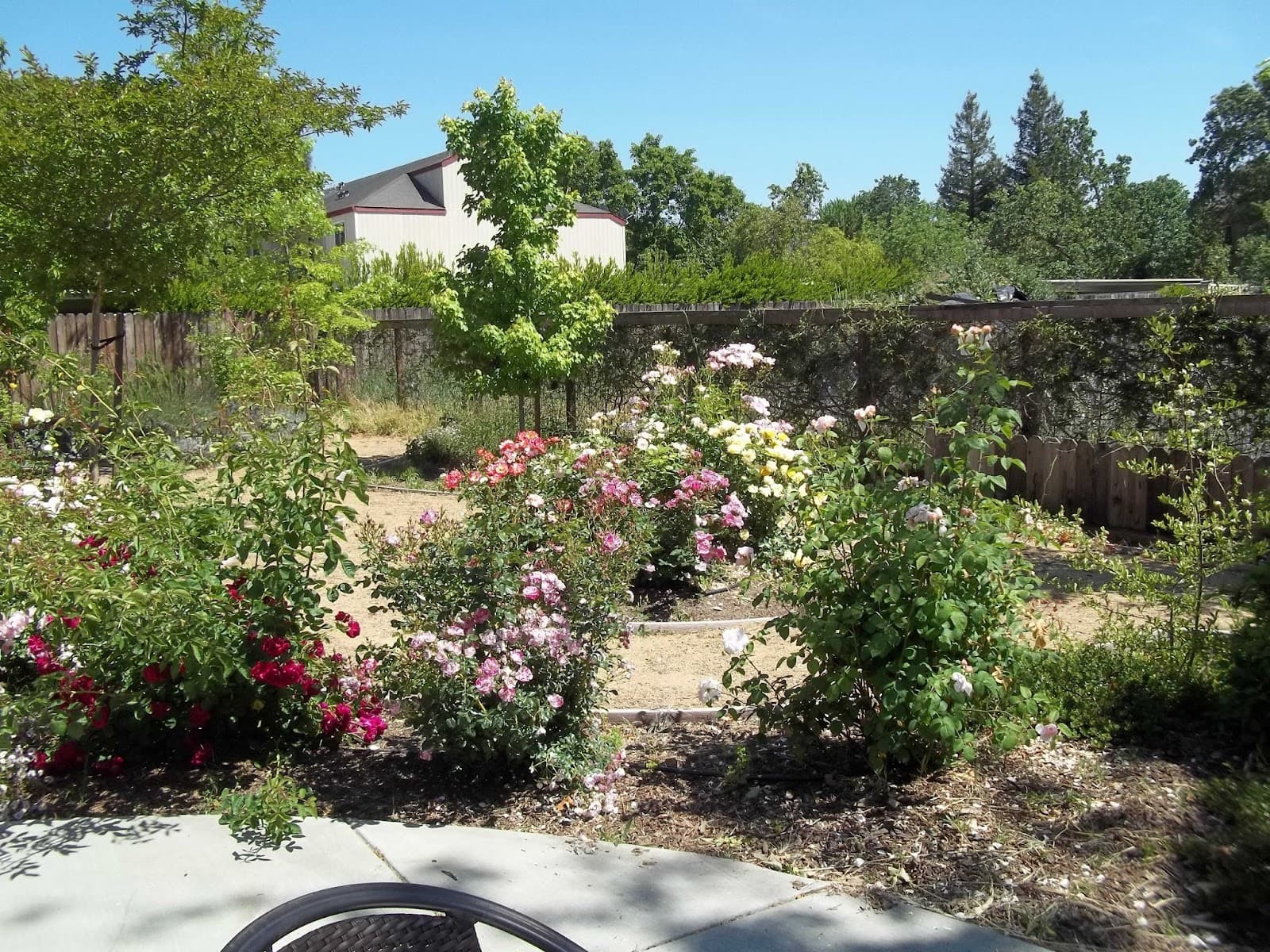 Wild Rose Care Home At Hardies Lane photo 3
