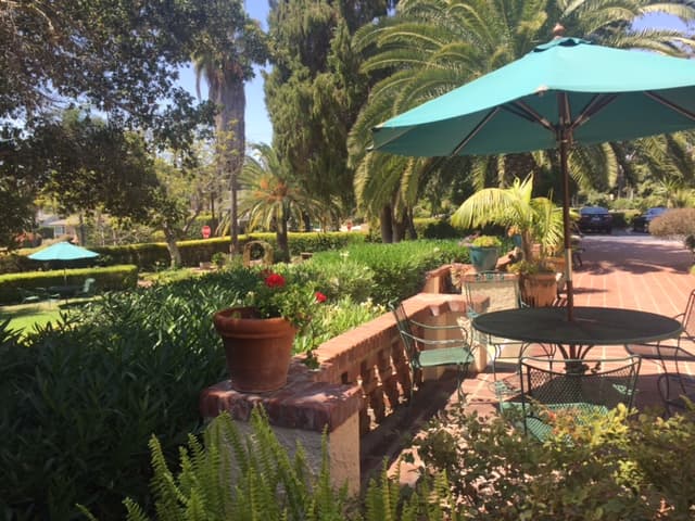 Alexander Gardens photo 2
