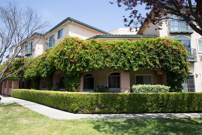 Carlton Senior Living Fremont photo 4