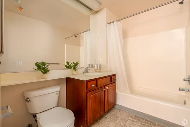 Colorado Terrace photo 5