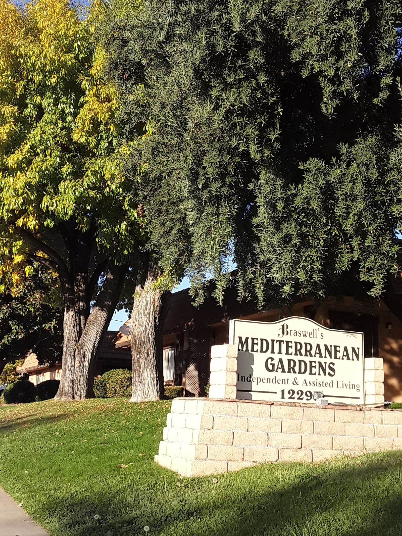Braswell's Mediterranean Gardens photo 5