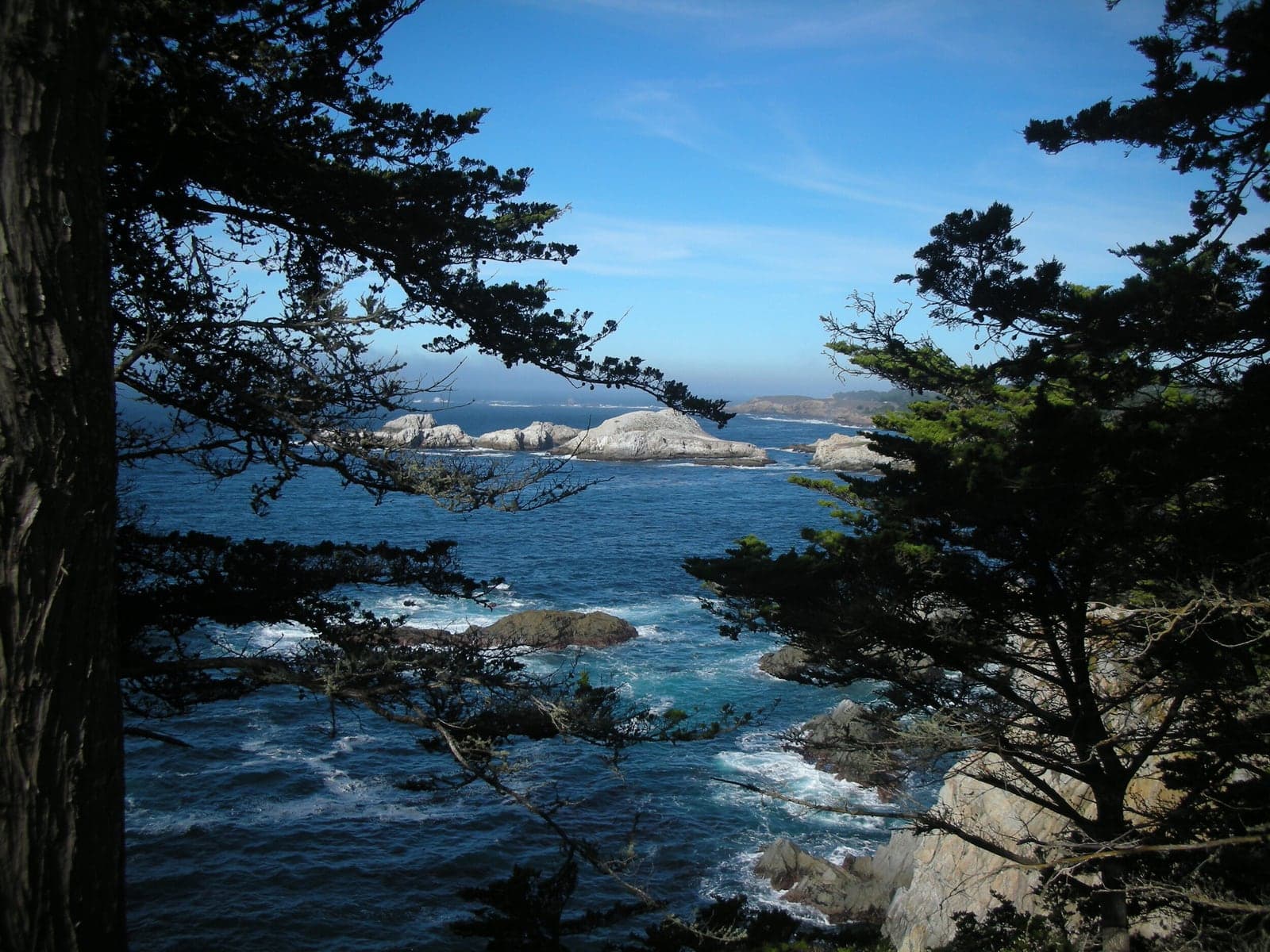 Agape Of Carmel photo 2